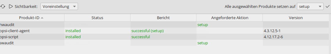 opsi1.png