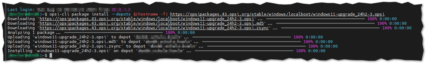opsi-cli_Beispiel_install.png