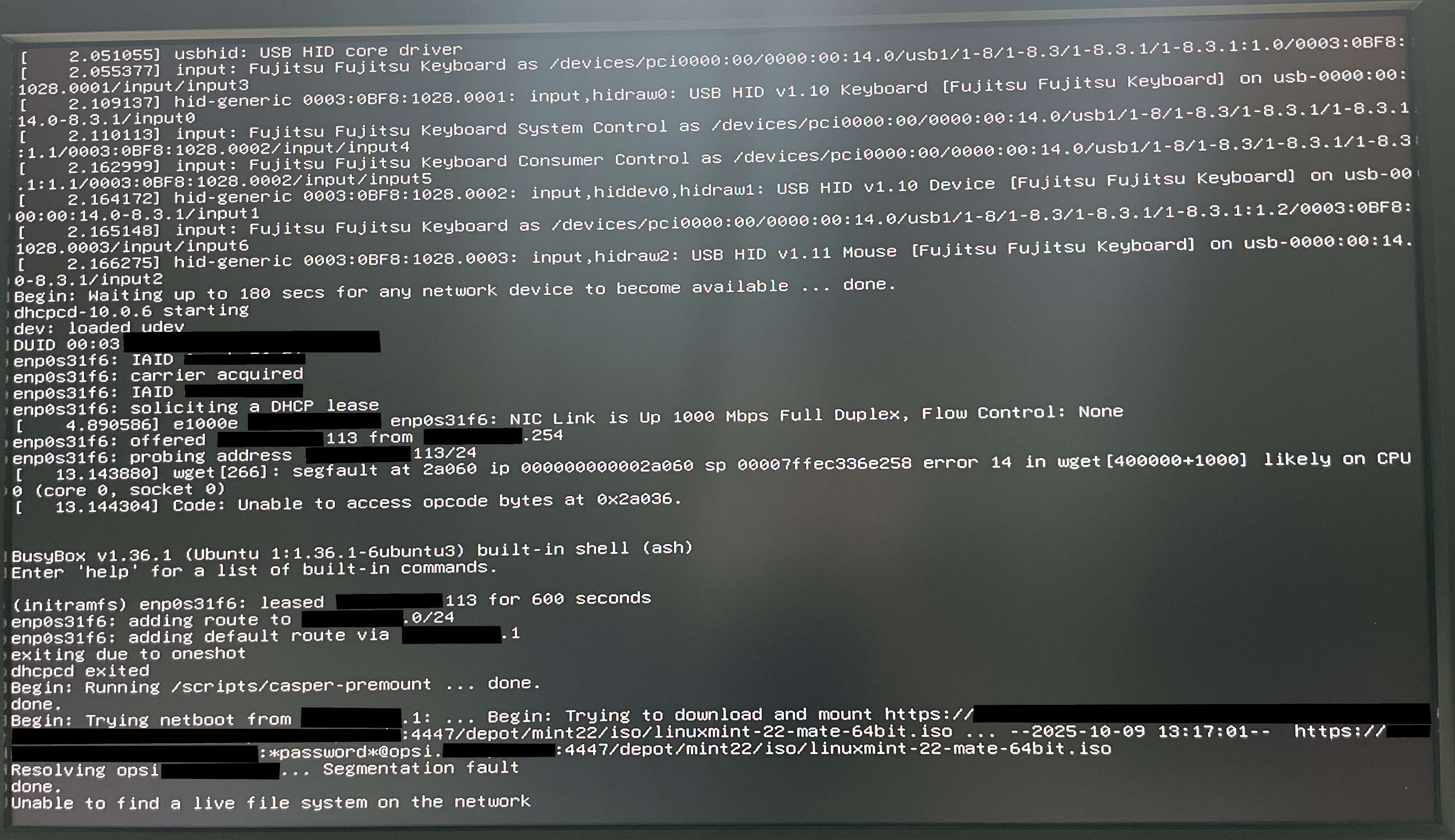 mint_install_fehler.jpg