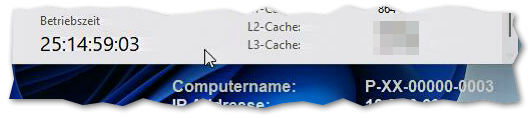 20251117_pc_003_uptime_laut_windows.png