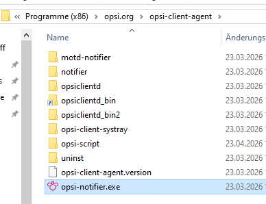opsi_client_systray_jetzt_installieren_notifier_pfad.png