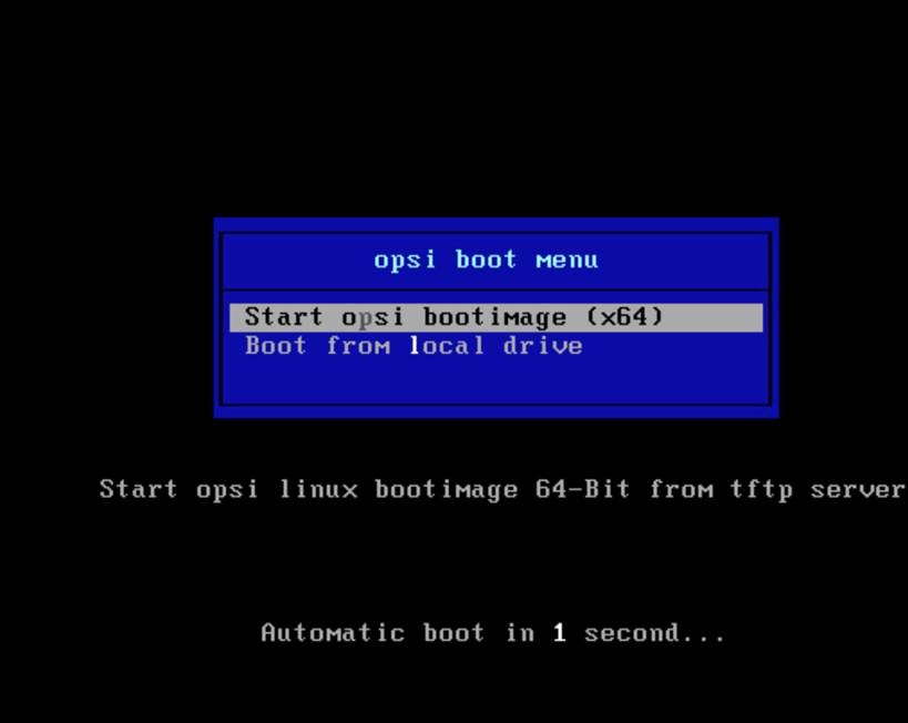 boot.jpg