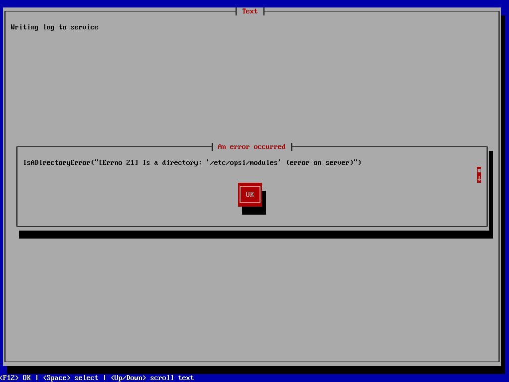 2022-04-12 21_33_32-opsiwinboot - VMware Workstation 16 Player (Non-commercial use only).png