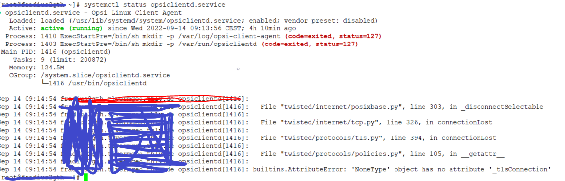 opsi-error1.PNG